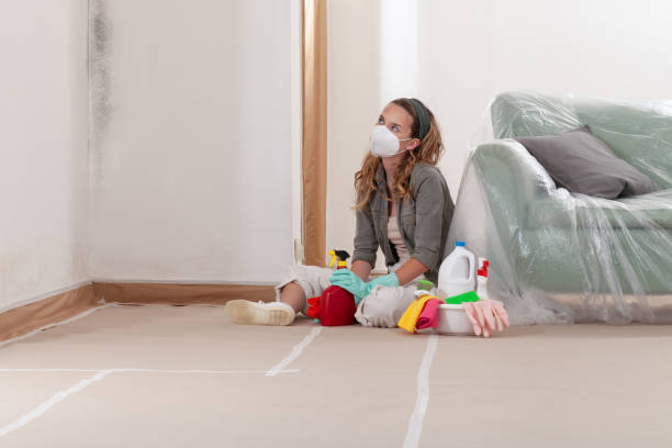 Reliable Mold Remediation contractor in Rutherford, NJ by Car Mold Remediation